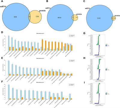 Integrated analysis of muscle transcriptome, miRNA, and proteome of Chinese indigenous breed Ningxiang pig in three developmental stages